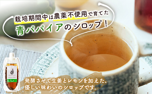酵素の王様青パパイア ドリンクセット 全4種 国産 バラエティ ヘルシー グリーンパパイア パパイヤ【A322】