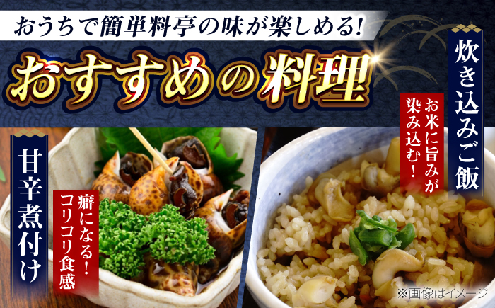 【先行予約】【2026年4月以降順次発送】豊前海産 バイ貝 1kg   (20～35個前後) 《築上町》【明青丸】 バイガイ 貝 カイ [ABCB004] 15000円 1万5千円