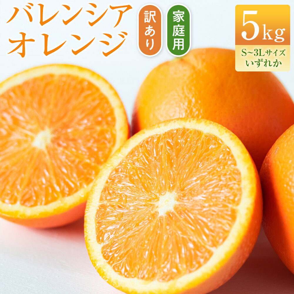 【ふるさと納税】バレンシアオレンジ 家庭用 訳あり 5kg S～3Lサイズいずれか | みかん 蜜柑 フルーツ 果物 くだもの 食品 人気 おすすめ 送料無料 産地直送