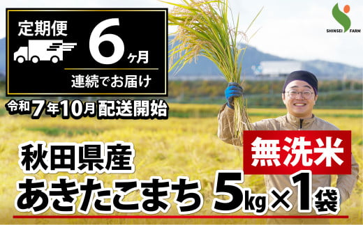 新米 【定期便6ヶ月】秋田県産あきたこまち(無洗米)5kg 450P9205　/ 米 無洗米 5kg 白米 令和7年産 秋田県産 あきたこまち 5kg×1袋 おにぎり 大館 東北 秋田 小分け こわけ 大館市 5キロ 5ｷﾛ 5きろ