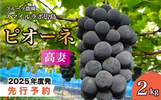 【先行受付】高妻2kg（ピオーネ）ブドウ 葡萄 高妻 新鮮 産地直送 広島県三原市【2025年9月頃より順次発送】 059004