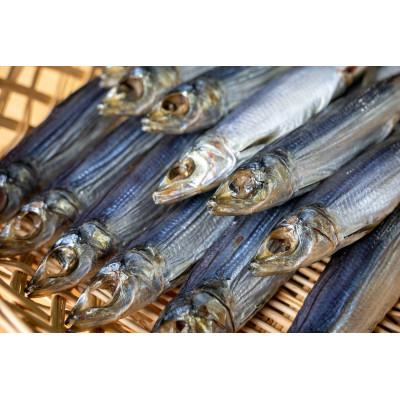 ふるさと納税 須崎市 うるめ丸干し　500g