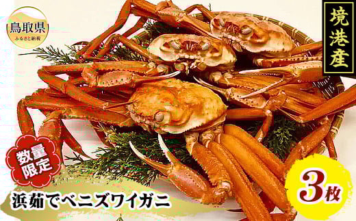 浜茹でベニズワイガニ3枚入り（足欠け含む）_T2600021