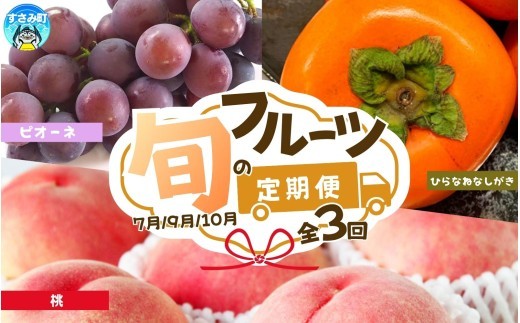 【3回定期便】【7・9・10月】紀州和歌山産旬のフルーツ定期便 (桃・ピオーネ・ひらたねなし柿)【tkb371】