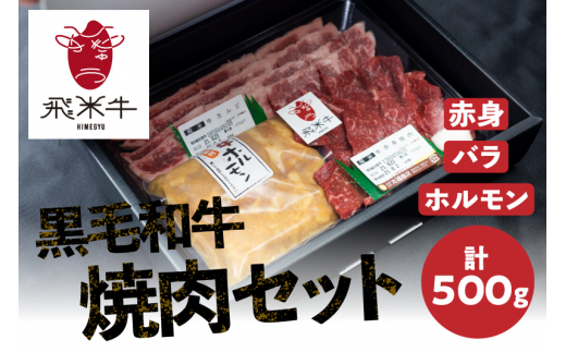 《簡易包装》飛米牛 焼肉セット（合計500g）赤身・バラ肉 各150g 味付けホルモン200g 焼肉 BBQ バーベキュー