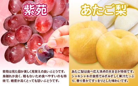 【4回定期便】岡山のフルーツ定期便 【配送不可地域あり】桃 ぶどう 梨