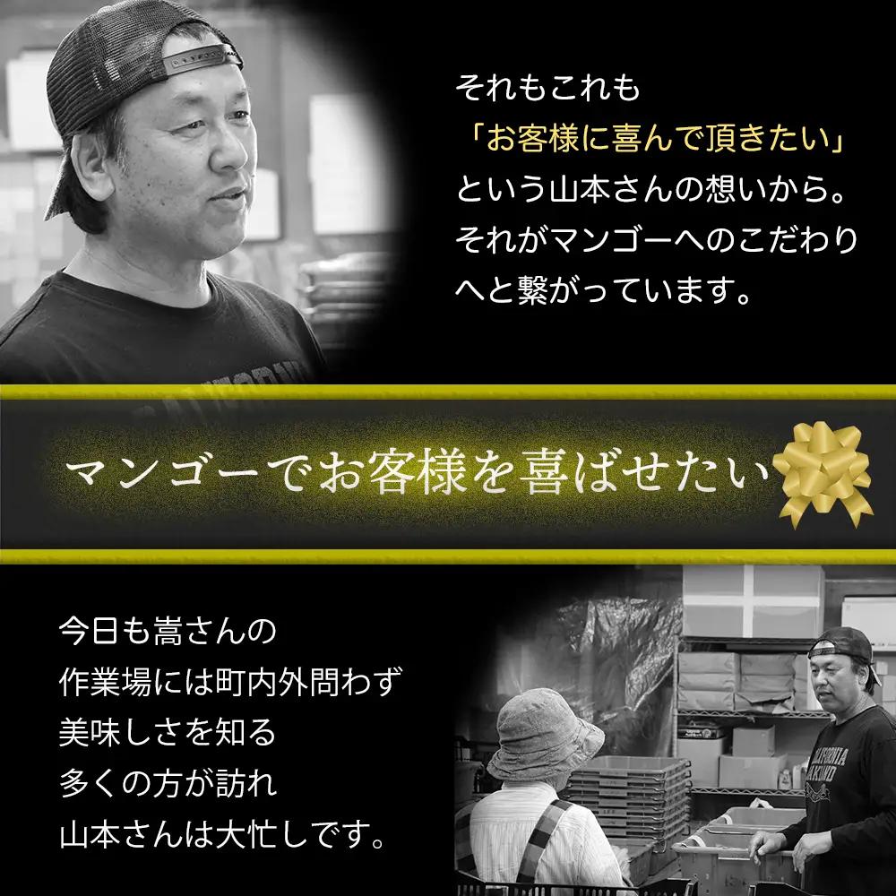 かおる・とろける！土佐マンゴー(2～5個)×１箱 