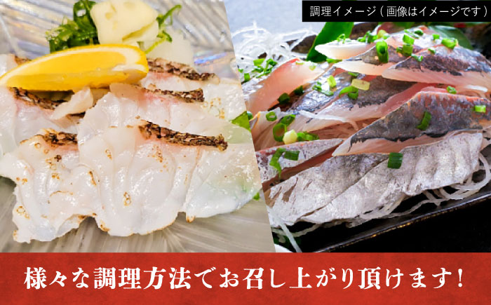 【五島列島直送】朝獲れ鮮魚セット6kg 五島市/鯛福丸水産[PDP012]   魚 鮮魚 セット 海鮮 直送 さかな 詰合せ 冷蔵