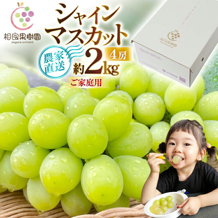 【ふるさと納税】【期間限定発送】 シャインマスカット 箱 満杯詰め 4房 約2kg [tk06ayt350005 山形県 高畠町 相良果樹園] 個包装 ぶどう ブドウ 葡萄 マスカット 大粒 種なし 高級 くだもの 果物 フルーツ ご自宅用 訳あり品 規格外 農家支援品