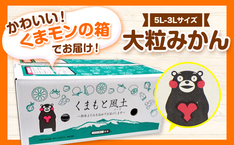 みかん 訳あり 大粒みかん 10kg  フルーツ 旬 柑橘 大粒 大玉 《2026年1月中旬-2月末頃出荷》---fn_notbmkn_bc1_r7_12000_10kg---