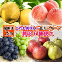 【ふるさと納税】【定期便3回】どれも美味しい山形フルーツ贅沢6種便 A 【令和7年産先行予約】FS24-740