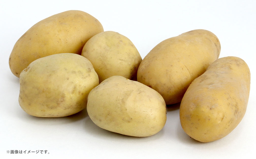 
                  メイクイーン 約10kg （ 35個 ～ 50個 ） じゃがいも ジャガイモ 野菜 やさい 旬 カレー シチュー ポテトサラダ 国産 熊本県産
                