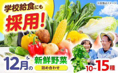高槻野菜おまかせ詰め合わせセット 12月（10種〜15種）[AOCS018] 野菜セット