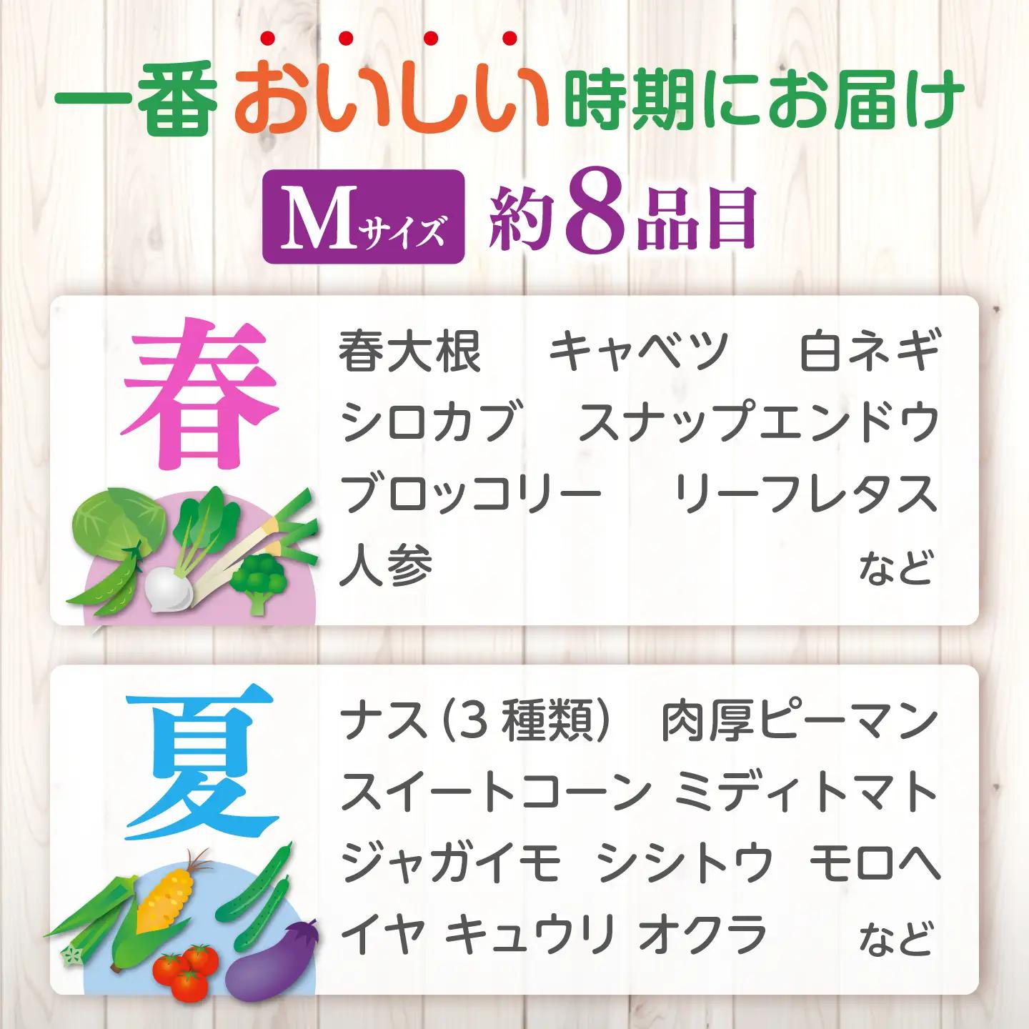 【全4回定期便】旬の野菜セットMサイズ 島根県松江市/須山農園[ALBD008]栽培期間中 農薬不使用  野菜 セット