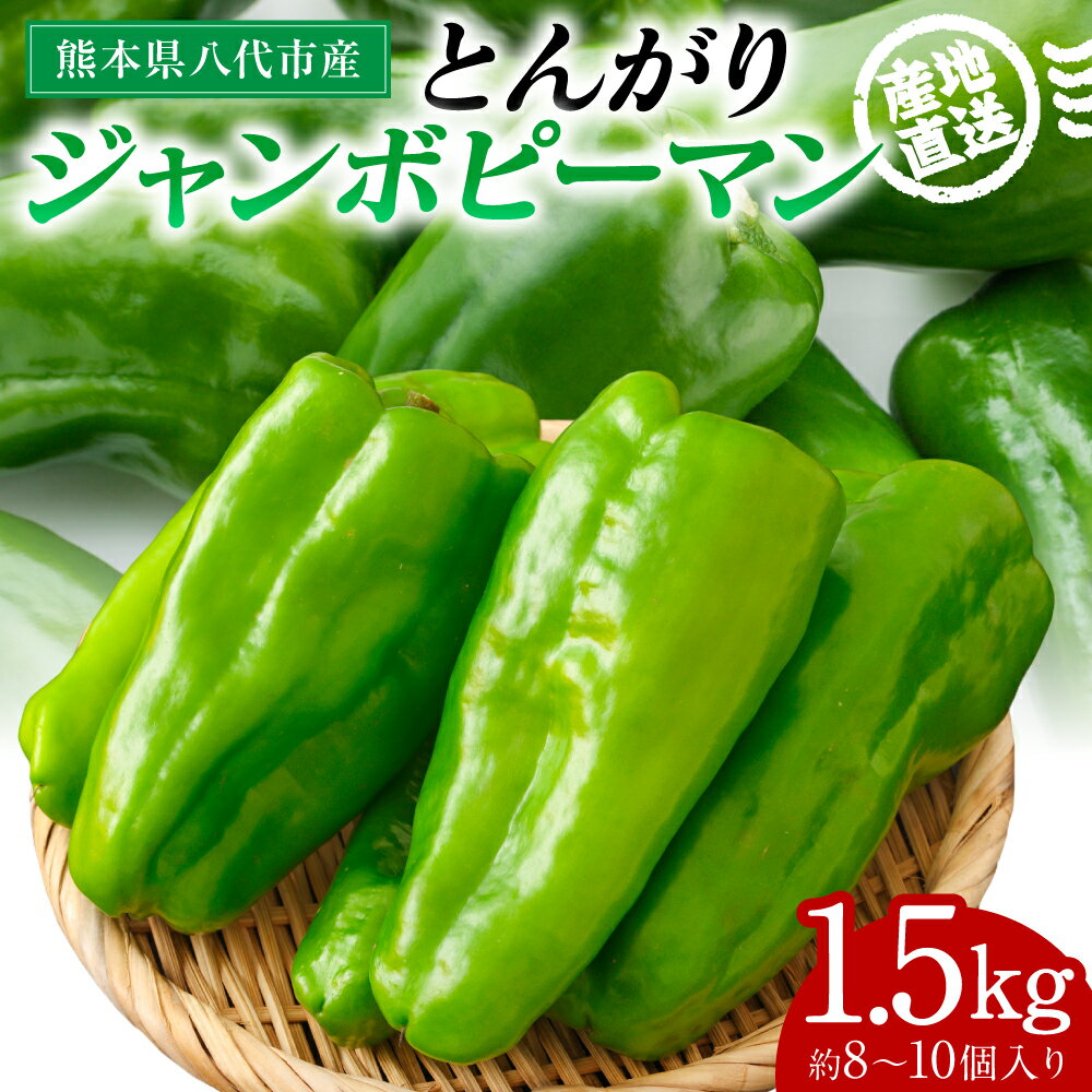 【ふるさと納税】 産地直送 とんがりジャンボピーマン 1.5kg 野菜 やさい 野菜炒め サラダ 夏野菜 新鮮 旬 無限ピーマン おつまみ BBQ バーベキュー 肉詰め 熊本県 八代市 送料無料