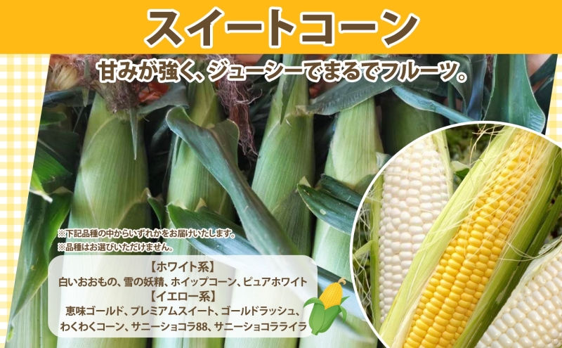 2025年 先行予約 【 のざわ農園 】スイートコーン 5本 前後（約2kg） とうもろこし コーン とうきび 北海道 日高産