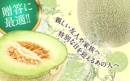 【2027年5月-発送】【さわやかな味！ 】タカミメロン 2玉 （約 2kg）  / メロン 南島原市 / 南島原果物屋 [SCV004]