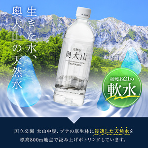 ＜定期便3回＞天然水奥大山(500ml×24本入り×3か月・計72本)国産 鳥取県 鳥取県産 大山 奥大山 天然水 水 軟水 ミネラルウォーター ミネラルバランス 山地 ペットボトル 贈り物 ギフト 