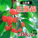 【ふるさと納税】山形産 さくらんぼ 佐藤錦 約700g(約350g×2P) Lサイズ 【令和7年産先行予約】FS23-721 くだもの 果物 フルーツ 山形 山形県 山形市 2025年産