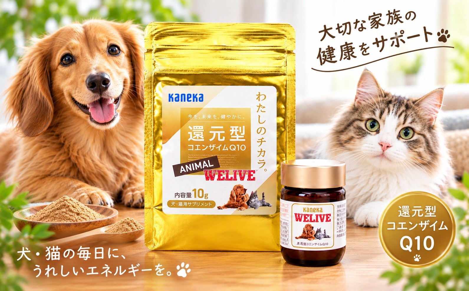 
                   還元型コエンザイムQ10　わたしのチカラ   Ⓡ  ANIMAL WELIVE Ⓡ（アニマルウィリブ） 10g入   2本　サプリメント　健康食品　ストレス緩和
                