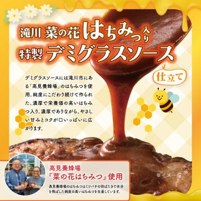 ふるさと納税 滝川市 北海道デミハンバーグ1食200g 9セット 北海道 冷凍 個包装 小分け |  | 01