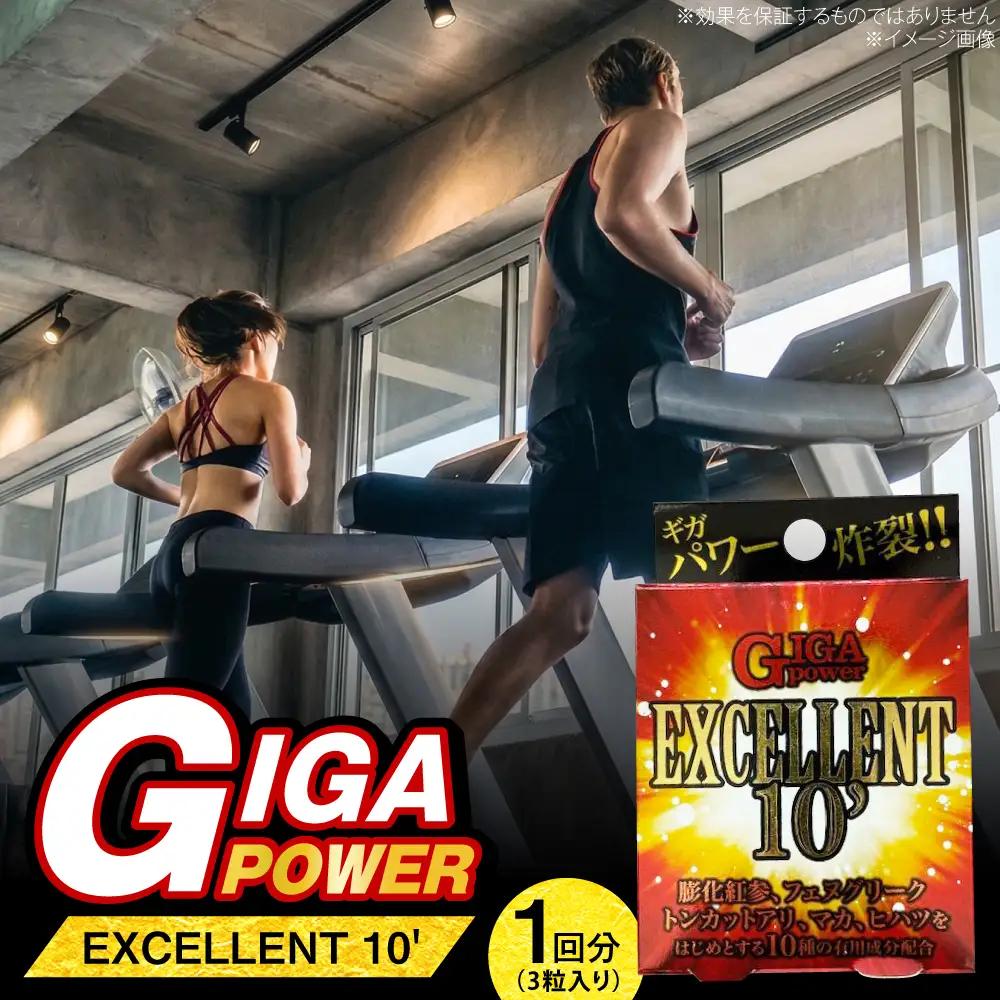 サプリ GIGA POWER EXCELLENT 10' 3粒 サプリ BLAX007
