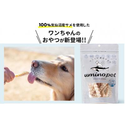 ふるさと納税 気仙沼市 UMINO PET サメ軟骨スティック 40g×1個 [石渡商店 20563943] |  | 01