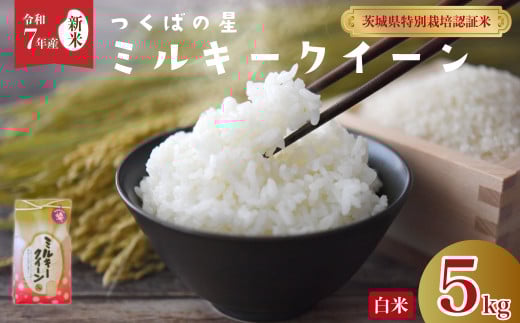 【先行予約 令和7年産 新米 】ミルキークイーン 低アミロース つくばの星 白米５kg |  特別栽培認証米 ミルキークイーン 特長のある米 GAP認証 森 ミネラル 水 山田川 安全 安心 美味しい 米 人気 低アミロース 茨城県 常陸太田市