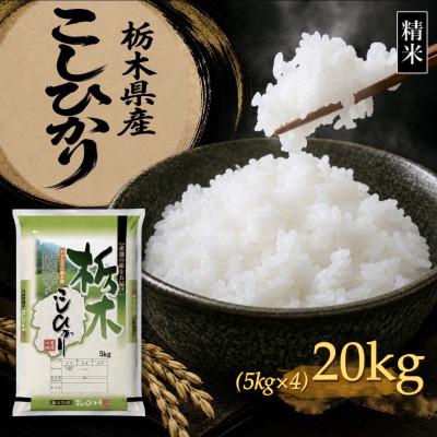 ふるさと納税 矢板市 【令和8年産 新米】【食味鑑定士厳選】栃木県産 コシヒカリ 20kg(5kg×4袋)(矢板市)