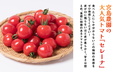 セレーナトマト サイズミックス 24個 400g以上 八代市産 宮島農園