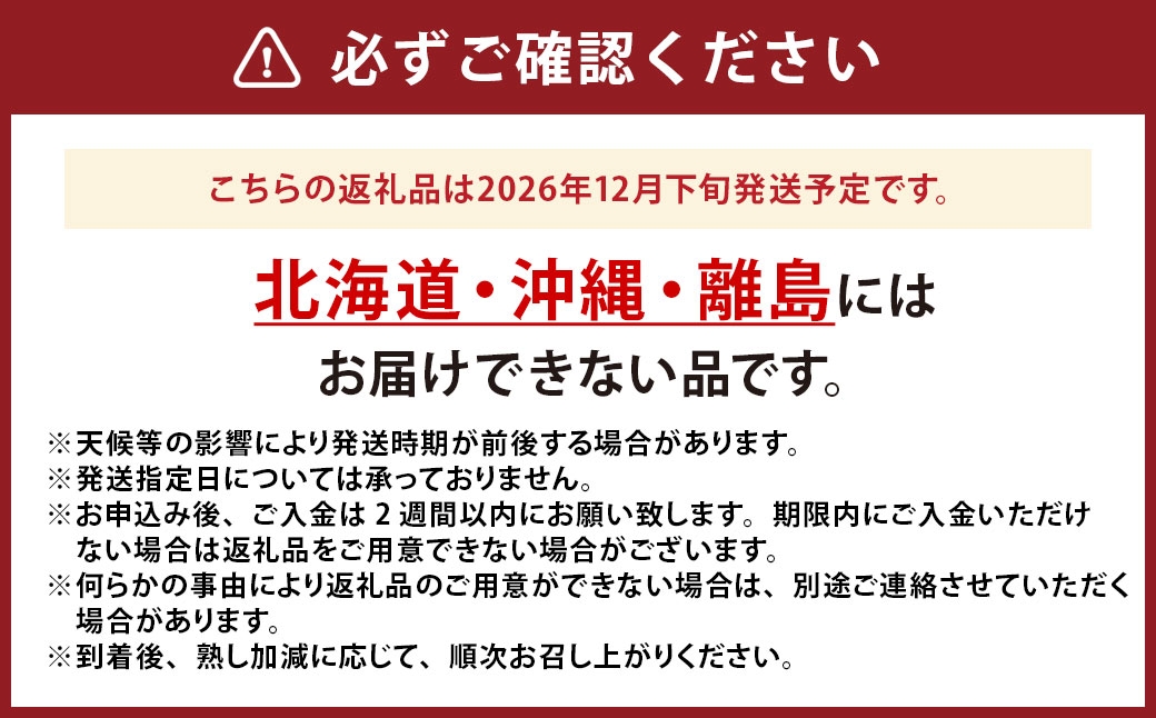 中央市産 ヘイワード キウイ 約2kg