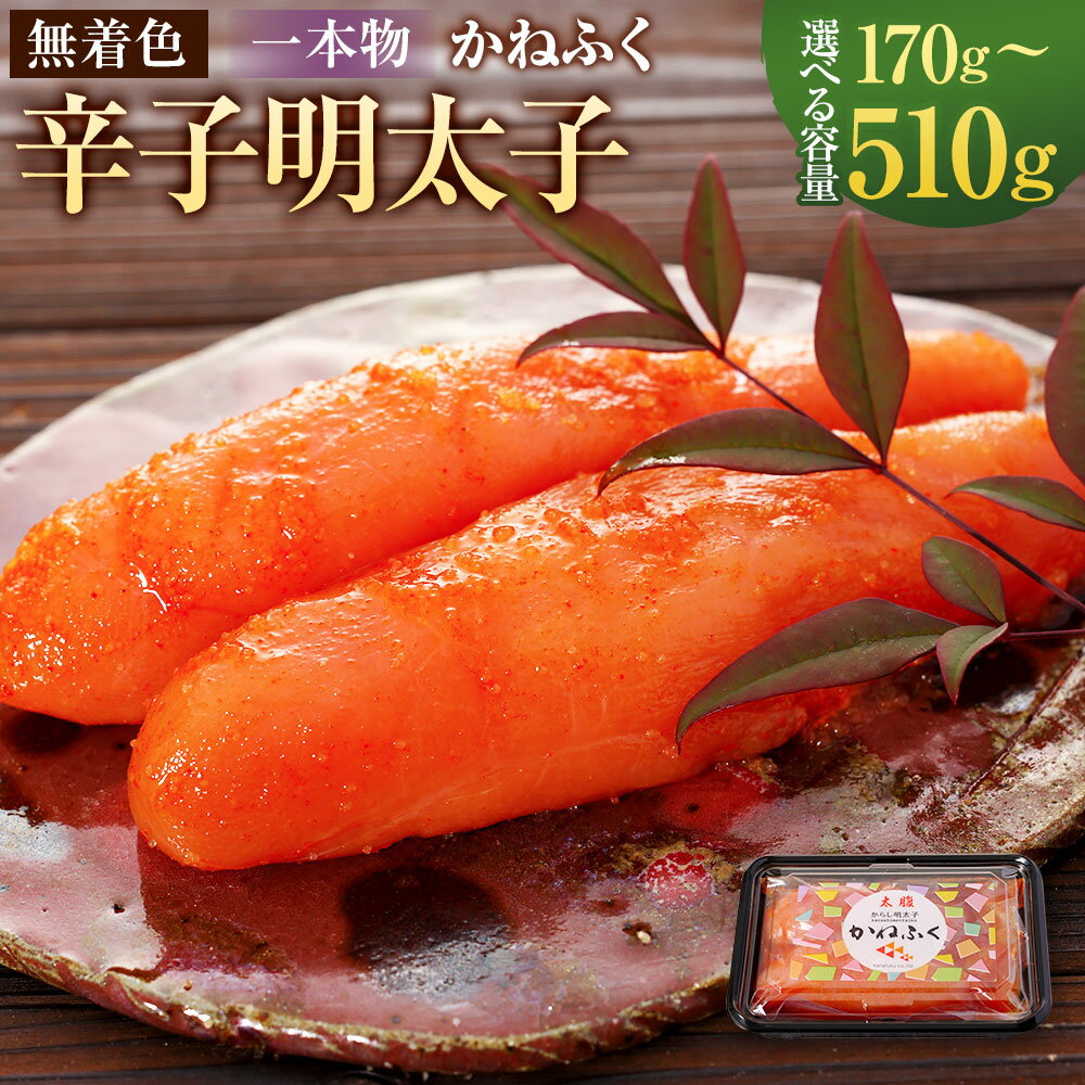 【ふるさと納税】＜選べる内容量＞かねふく ＜無着色＞ 辛子明太子（一本物） 170g×1パック / 計510g（170g×3パック） からしめんたいこ 魚卵 魚介類 水産物 すけとうだら スケトウダラ ごはんのお供 ご飯のお供 おつまみ 冷凍 福岡県 遠賀町 送料無料