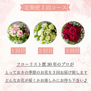 季節の 花 フラワーアレンジメント 定期便 3回 花