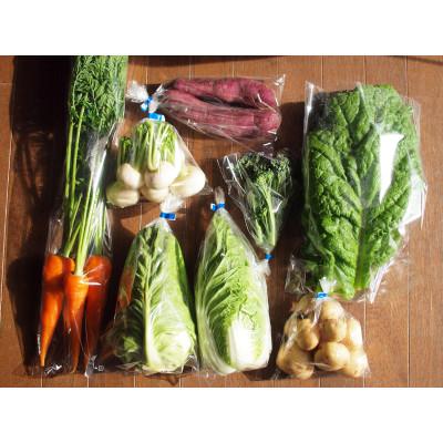 ふるさと納税 豊能町 おまかせ野菜セット(2026年11月上旬〜発送予定)