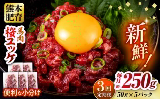 【全3回定期便】馬肉 さくらユッケ 50g×5パック 計250g お肉 桜ユッケ 赤身 生食 小分け 冷凍 馬肉 桜肉 ユッケ おつまみ 熊本県 合志市【五右衛門フーズ熊本店】 [AYBV028]