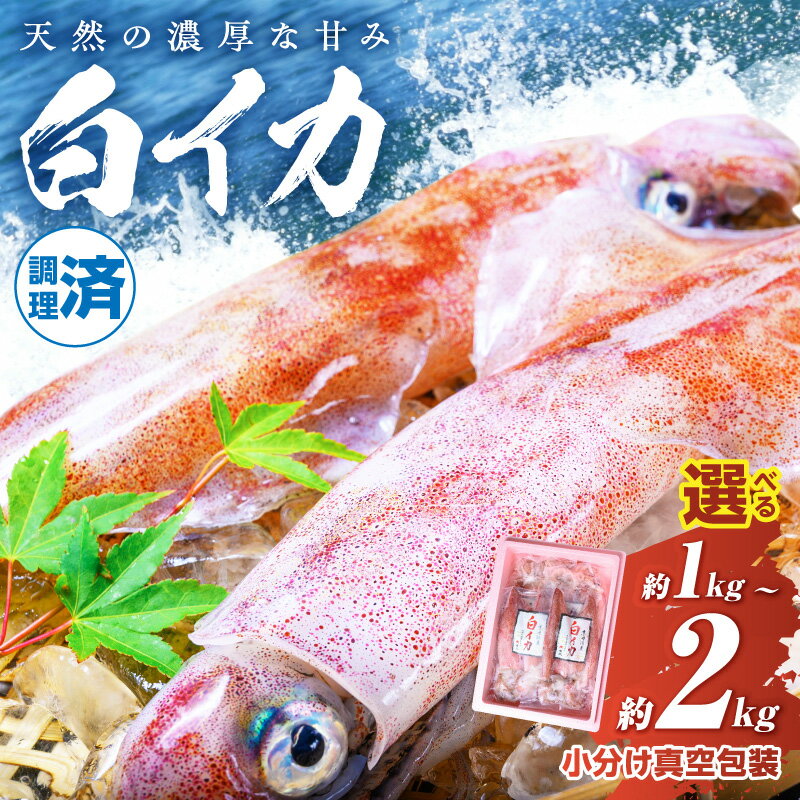 【ふるさと納税】真空パック調理済／高評価★4.5BBQに最適！ 白イカ（ケンサキイカ） 調理済み 正味1kg 1.5kg 2kg ※小分け真空包装 海鮮 魚介 烏賊 調理済み バーベキュー 壺焼き 小分け 冷凍 ふるさと納税 イカ ふるさと納税 海鮮BBQ