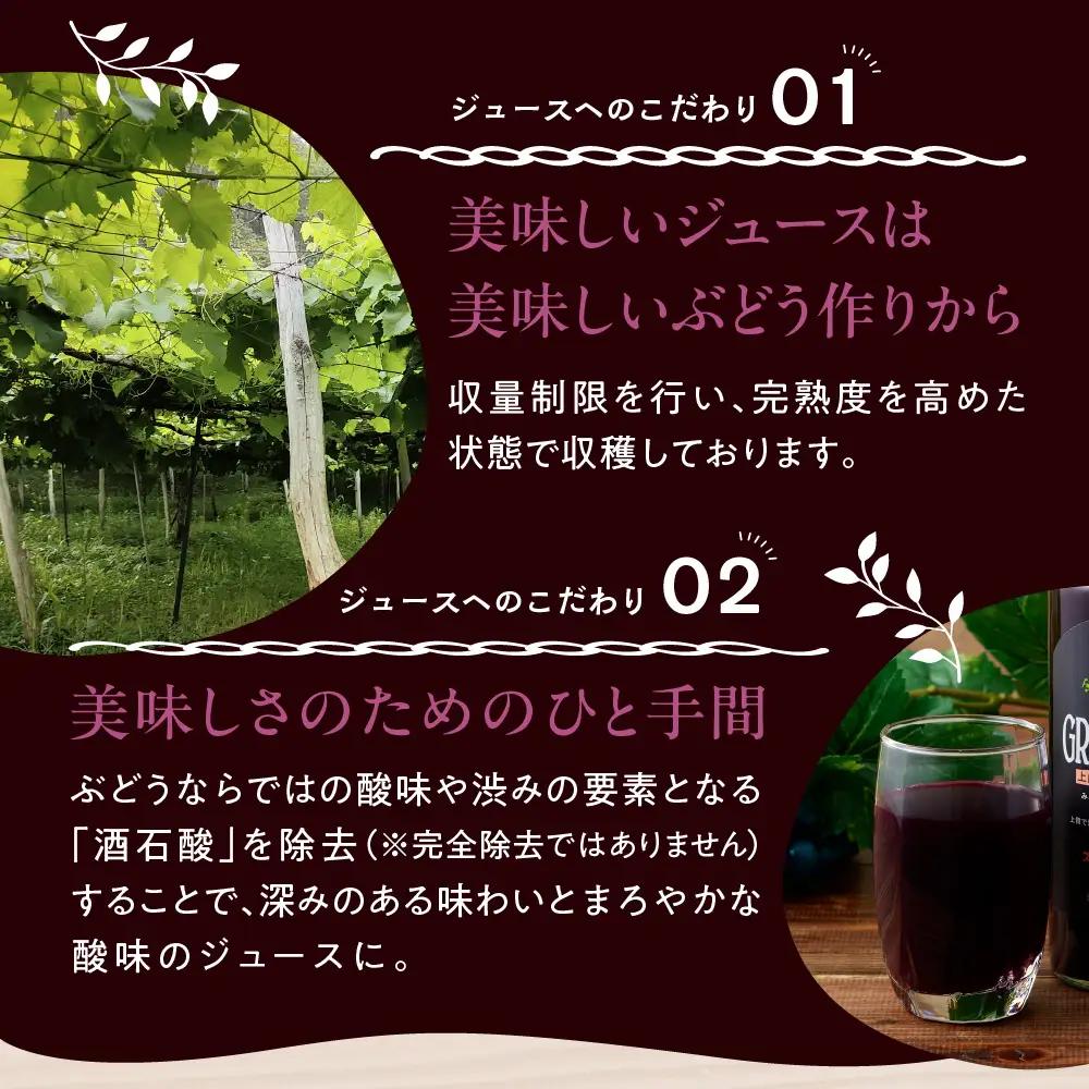 美味しい上山・山ぶどうジュース（原液）５５０ｍｌ×２本　0140-2610