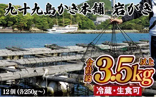 
            A174p 九十九島かき本舗岩がきB
          