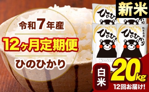 新米 令和7年産 【12ヶ月定期便】 白米 米 ひのひかり 20kg《お申し込み月の翌月から出荷開始》熊本県 大津町 国産 熊本県産 白米 送料無料 ヒノヒカリ こめ お米