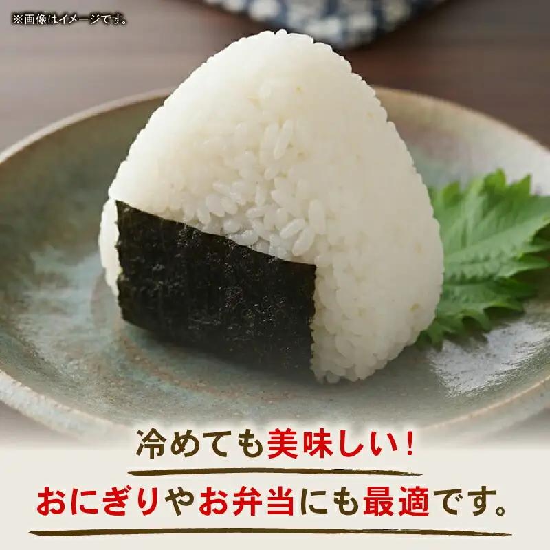 【先行予約】白米 10㎏ コシヒカリ 令和8年度 白米