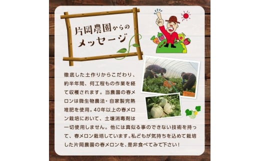 糖度抜群！奇跡のクインシーメロン（赤肉）2玉入り