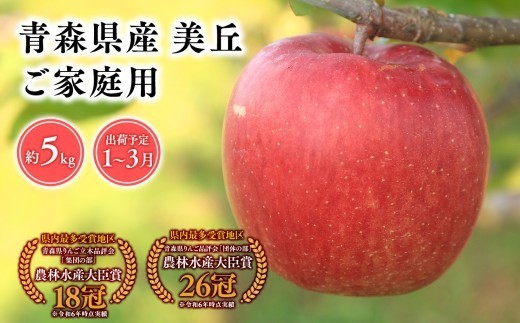 
                  2026年産   1～3月発送　【訳あり】家庭用美丘5kg【青森県 平川市 そと川りんご園】 1～3月発送 家庭用 りんご リンゴ 林檎 くだもの 果物 詰め合わせ 旬 フルーツ ３月  青森県産 青森 
                