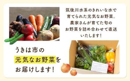 【月2回定期便】UIC 名水うきは 旬の滋味（じみ）野菜セット (ひと月2回×2か月=計4回)