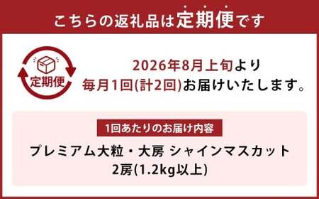 【2回定期便】 プレミアム大粒 ・ 大房 シャインマスカット 2房 （1.2kg以上） 【2026年8月上旬から順次発送予定】 ／ くだもの 果物 果実 フルーツ ぶどう ブドウ 葡萄 マスカット 冷