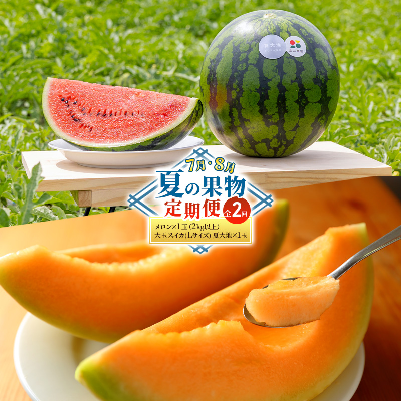 【7・8月 夏の果物 定期便 全2回】2026年夏発送 メロン×1玉 