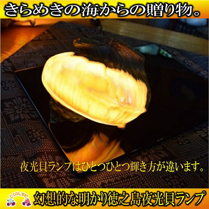 【ふるさと納税】〜煌めきの海からの贈り物〜手づくり夜光貝ランプ ( ライト ランプ 電球 インテリア 夜光貝 徳之島 奄美 鹿児島 ブルーシェル )
