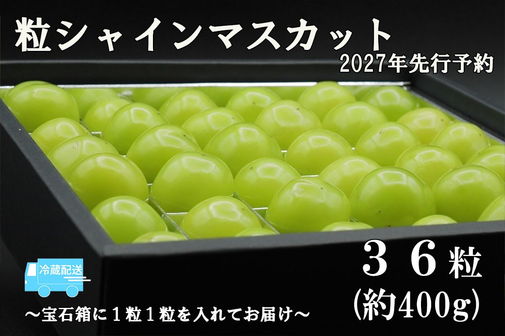 
                  【2027年発送分 先行予約】《厳選・宝石箱》シャインマスカットひと口BOX(３６粒入り・約400g)※冷蔵発送※　シャイン マスカット ぶどう 葡萄 ブドウ 房なし 粒シャイン 粒のみ 粒だけ くだもの 果物 フルーツ 山梨 やまなし 富士川町
                