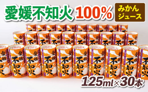 みかんジュース 愛媛 不知火 125ml ×30本 愛工房 100％ 紙パック フルーツ ジュース 100％ジュース ストレートジュース みかん mikan 蜜柑 しらぬい 果汁100％ 紙パック 飲料 柑橘 スイーツ 果物 くだもの 産地直送 国産 宇和島 H020-034003