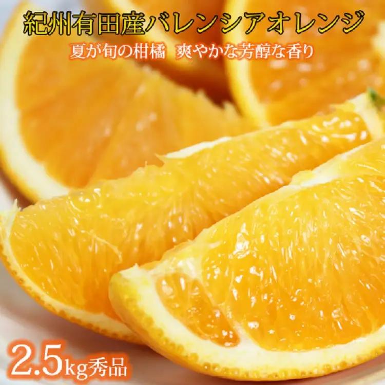 秀品　希少な国産バレンシアオレンジ　2.5kg　※2026年6月下旬頃～2026年7月上旬頃 順次発送（お届け日指定不可）【uot752】