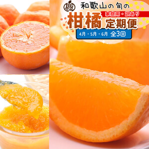 家庭用 柑橘定期便S（4～6月）全3回 ［IKE304］